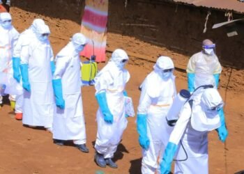 Health Ministry officials discuss ongoing Ebola outbreak in Africa