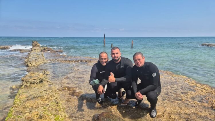 Loggerhead turtle rescued off Haifa Coast after injury from pollution