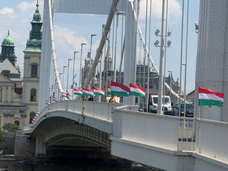 Elizabeth Bridge ‘Restored’ in Red, White, and Green instead of Rainbow Flags