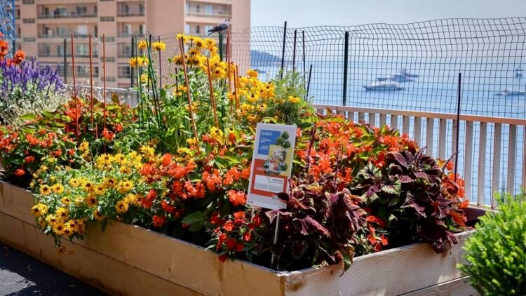 Monaco’s budding gardeners honoured as ‘Draw Me a Garden’ competition blooms for a second year – NEWS.MC
