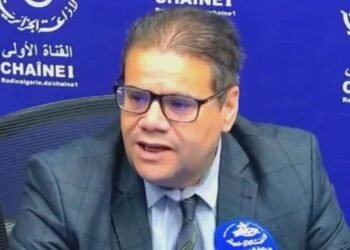 Legislative elections: Dr. Hamza Khoudari clarifies the powers of the parliamentary representative
