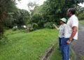 Rare papyrus plant among items stolen from Palmiste Park