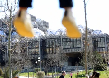 The 21-million tender for the restoration of the Library, under review