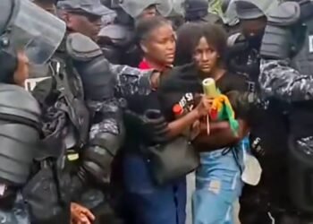 Police defend arrest of Alyssa Phillip: …Activist, mom get bail after being charged with resisting arrest, disorderly behaviour