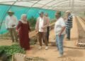 Cooperation between the “Saudi National Sustainable Agriculture” and “Al-Khalidiya Biosaline Research”