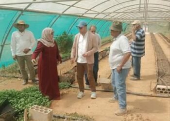 Cooperation between the “Saudi National Sustainable Agriculture” and “Al-Khalidiya Biosaline Research”