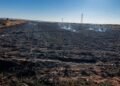 ​Irbid Agriculture renews its call to farmers to establish “fire lines” after a fire in 350 dunams of wheat