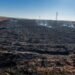 ​Irbid Agriculture renews its call to farmers to establish “fire lines” after a fire in 350 dunams of wheat
