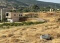 Ajloun: The wheat harvest is a story that tells the story of the land and man
