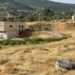 Ajloun: The wheat harvest is a story that tells the story of the land and man