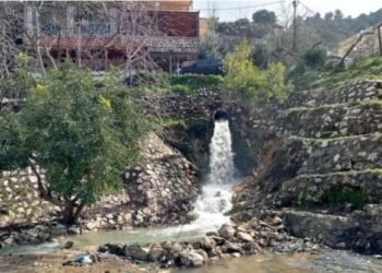 Ajloun: Rehabilitating natural springs and views enhances eco-tourism and local development