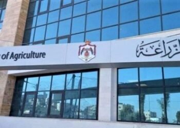 Agriculture clarifies the Iraqi authorities’ rejection of a shipment of calves imported from Colombia