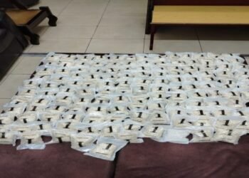 Drug Control: Thwarting an attempt to smuggle a large quantity of cocaine