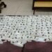 Drug Control: Thwarting an attempt to smuggle a large quantity of cocaine