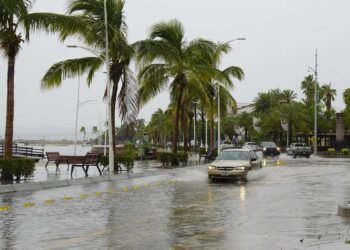Tropical Storm Boris strengthens off Guerrero