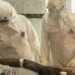 France reports first Ebola case
