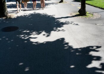 Researchers calculate incidence of sunlight in Switzerland