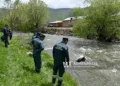 Rescuers found the body of a man who had been wanted since June 27 in Pambak River