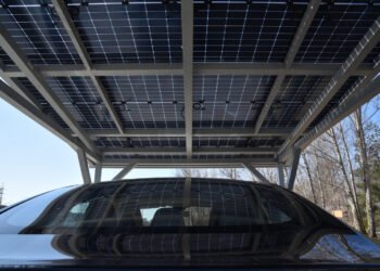 Climate change and Europe’s “green” course – modernization or fraud?