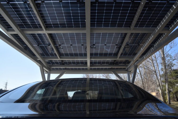 Climate change and Europe’s “green” course – modernization or fraud?