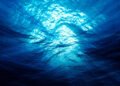 Is Europe really at risk of winter frost? Scientists are studying – what is the “cold spot” in the ocean and what will it bring