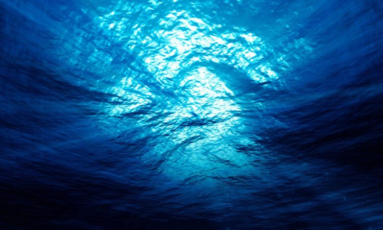 Is Europe really at risk of winter frost? Scientists are studying – what is the “cold spot” in the ocean and what will it bring