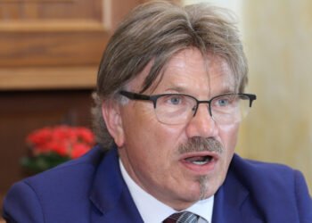 Đirson: Entrepreneurs must be able to take some losses when the country is having a hard time