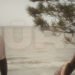“Indygo” leader Vaters releases an acoustic confession of love for the Baltic Sea