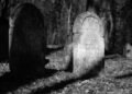 Cemetery vandalism committed in Koknese – nra.lv