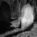 Cemetery vandalism committed in Koknese – nra.lv