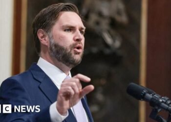 UK hits out at 'people seeking to stir division' after Vance's Nowak post