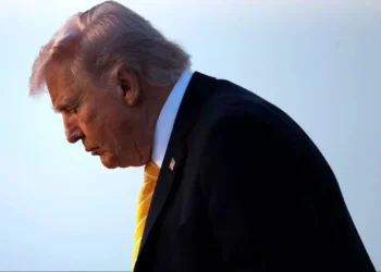 Trump: Last night we used bombs worth 250 million dollars!