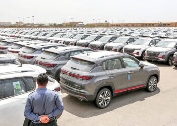 Details of the new monitoring of vehicle import / entry of vehicle was made conditional