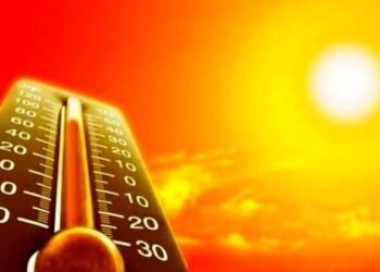 18 people died in the heat wave in Europe / the temperature in France hit a record