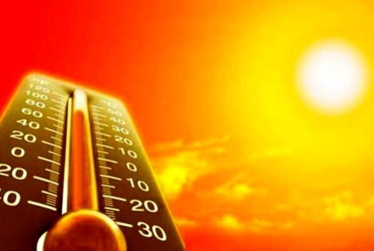 18 people died in the heat wave in Europe / the temperature in France hit a record