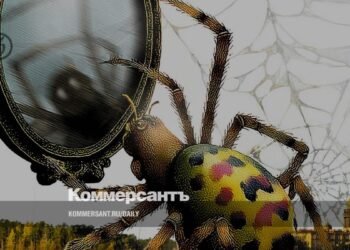 Andrey Astvatsaturov’s new novel “Mirrors and Webs” about life in Komarovo