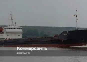 Reaction of Azerbaijan and Romania to Ukrainian Armed Forces drone attacks on merchant ships