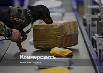 The Presidium of the Supreme Court approved a review of practice on customs disputes between businesses and the Federal Customs Service