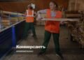 Lumber output in Russia may fall by 24 in 2026