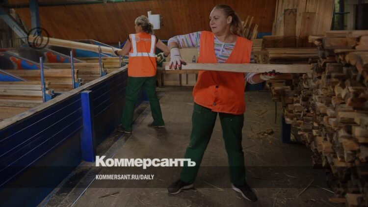 Lumber output in Russia may fall by 24 in 2026