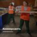 Lumber output in Russia may fall by 24 in 2026