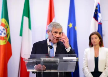 Italy announces release of Flotilla activists detained in Libya