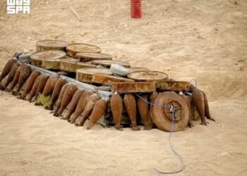 Al-Riyadh newspaper | Masam removes 2,164 mines from various Yemeni territories in a week