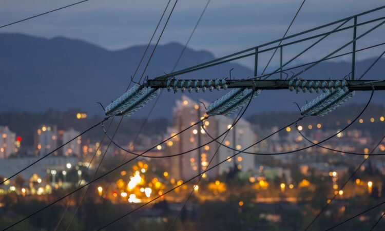 Türkiye discloses total physical energy flows for 2024