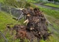 Heavy rain in Switzerland: These cantons will be affected on Tuesday