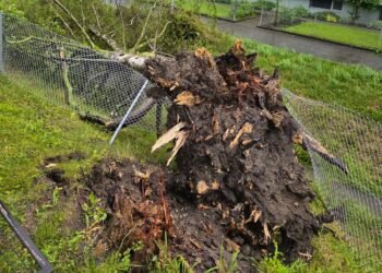 Heavy rain in Switzerland: These cantons will be affected on Tuesday