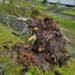Heavy rain in Switzerland: These cantons will be affected on Tuesday