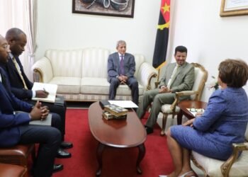The Minister of Foreign Affairs and African Affairs is received by the Secretary of State for Foreign Relations of the Republic of Angola