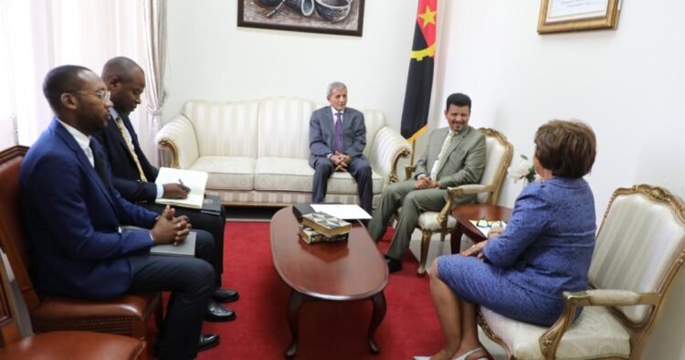The Minister of Foreign Affairs and African Affairs is received by the Secretary of State for Foreign Relations of the Republic of Angola