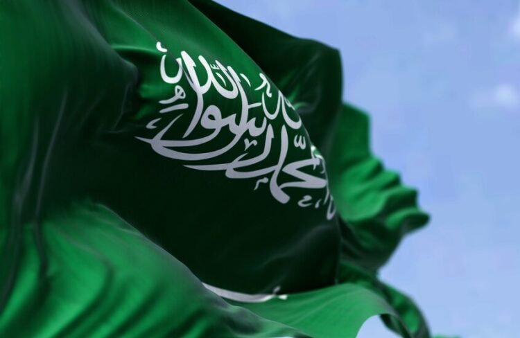 Al-Riyadh newspaper | The Kingdom condemns and denounces the targeting of the UNIFIL site in Lebanon